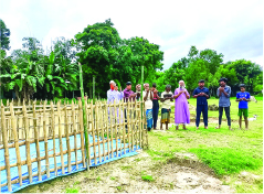 Image of শাহাদাত হোসেন